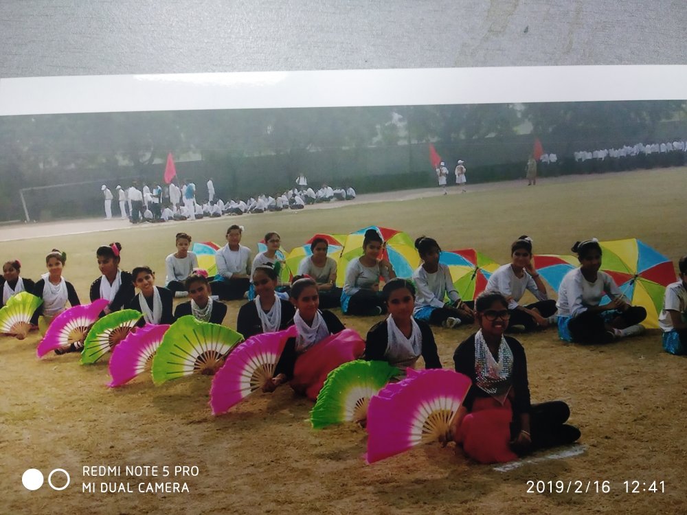 img-theme